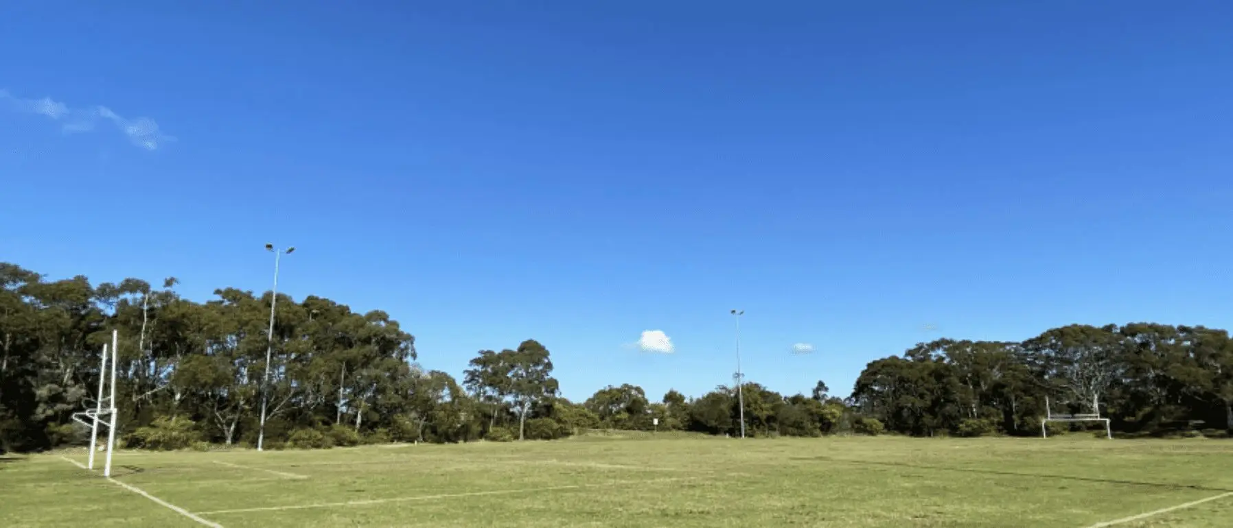 Leafy, tree-lined multi-use football field in Beacon Hill – a vibrant community hub reflecting the suburb’s family-friendly lifestyle